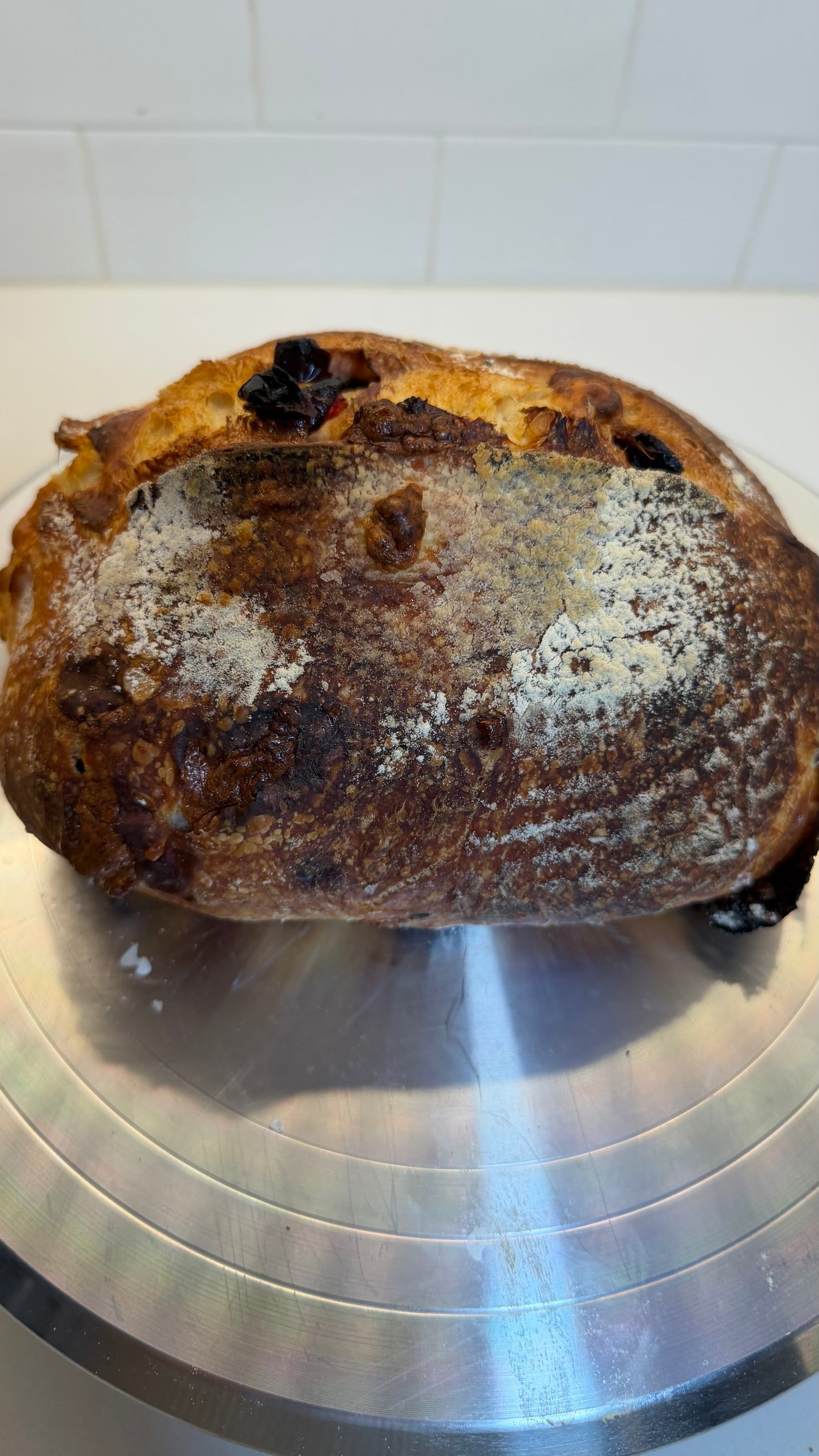 Bread Mozzarella Rosemary Sourdough 🧀🌿