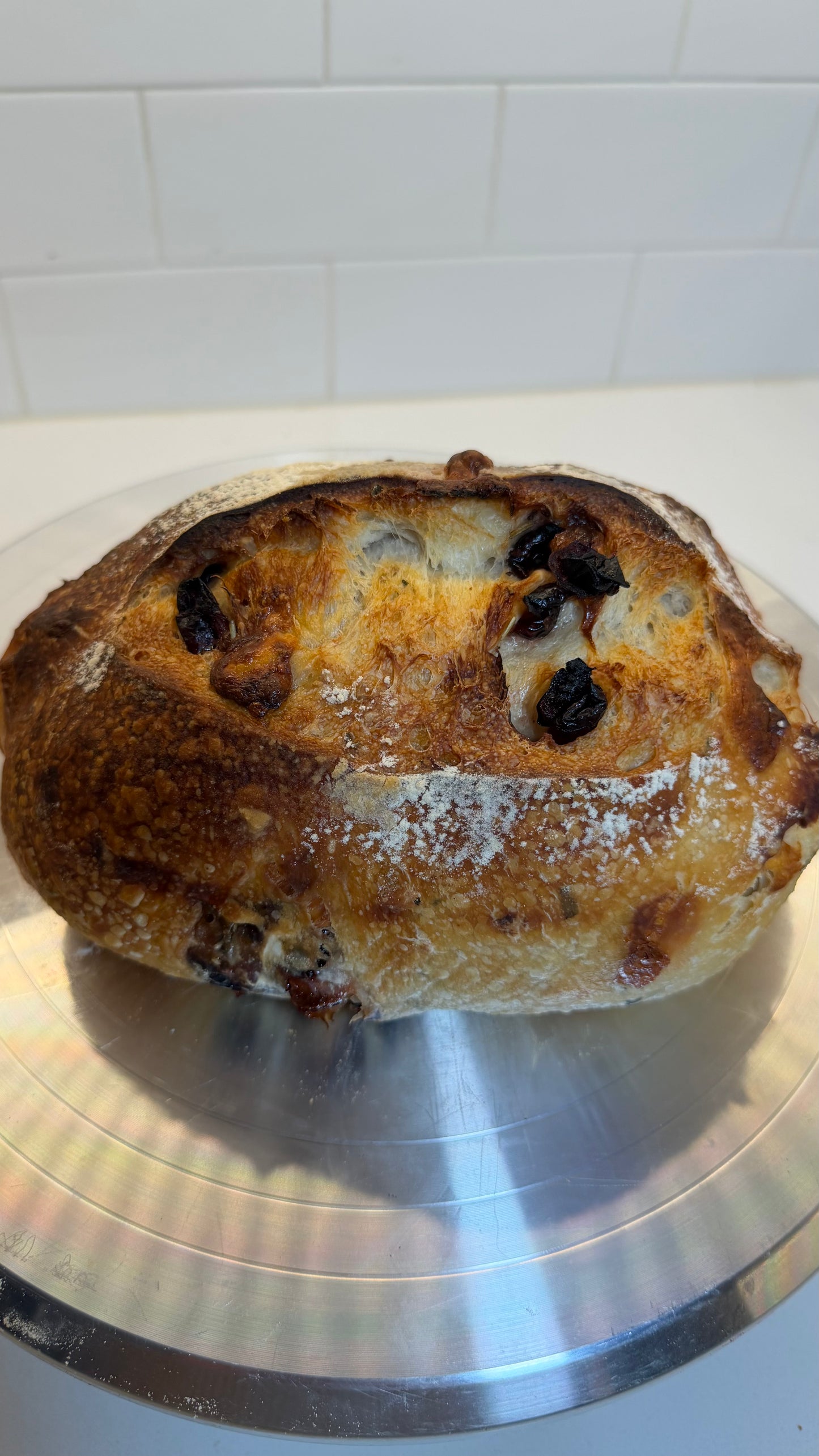 Bread Mozzarella Rosemary Sourdough  🧀🌿