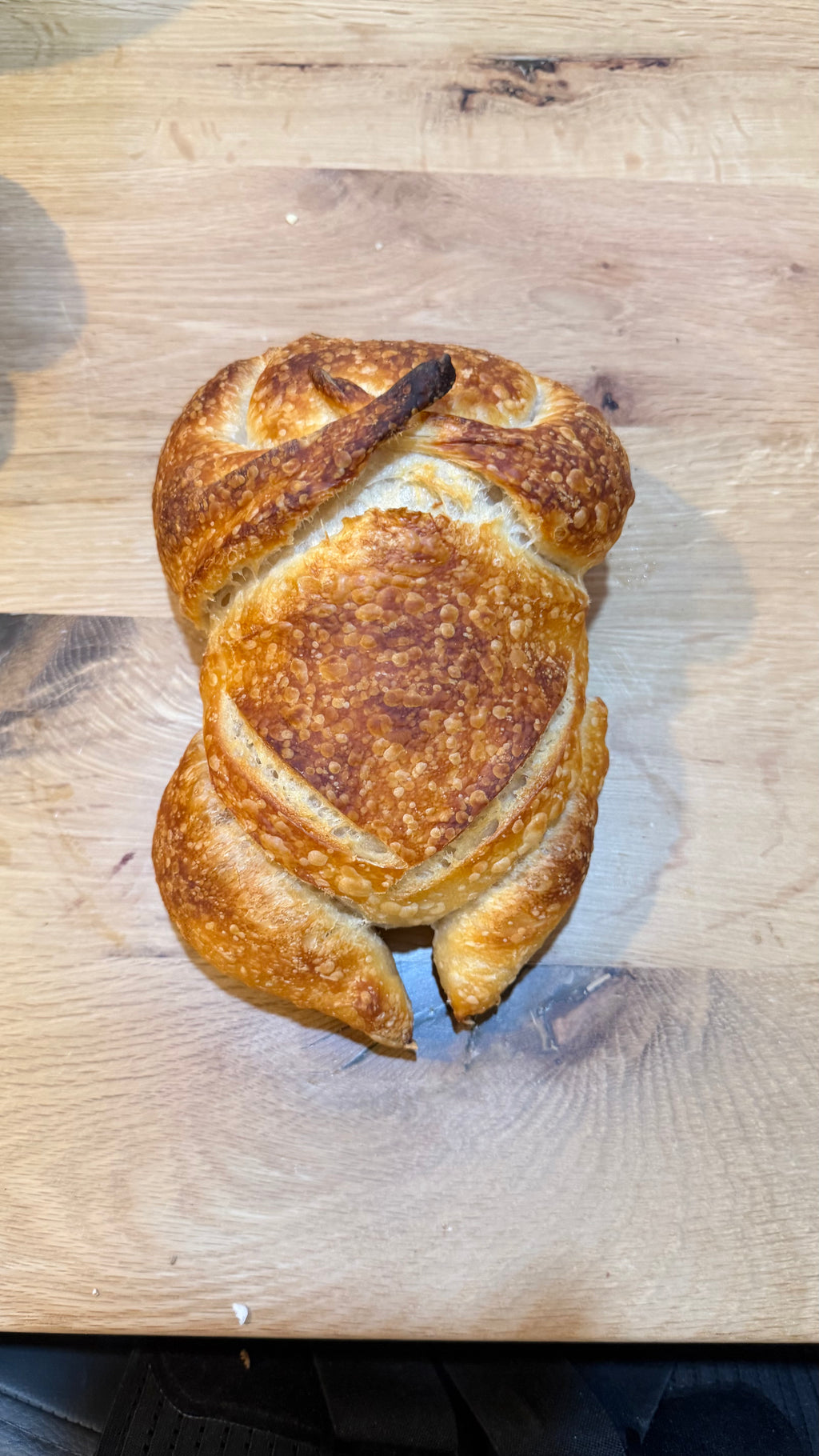 Organic Turkey-Shaped Country Sourdough Bread – Chef SEBA Artisan Bakery Des Plaines IL (Rustic, Naturally Fermented)