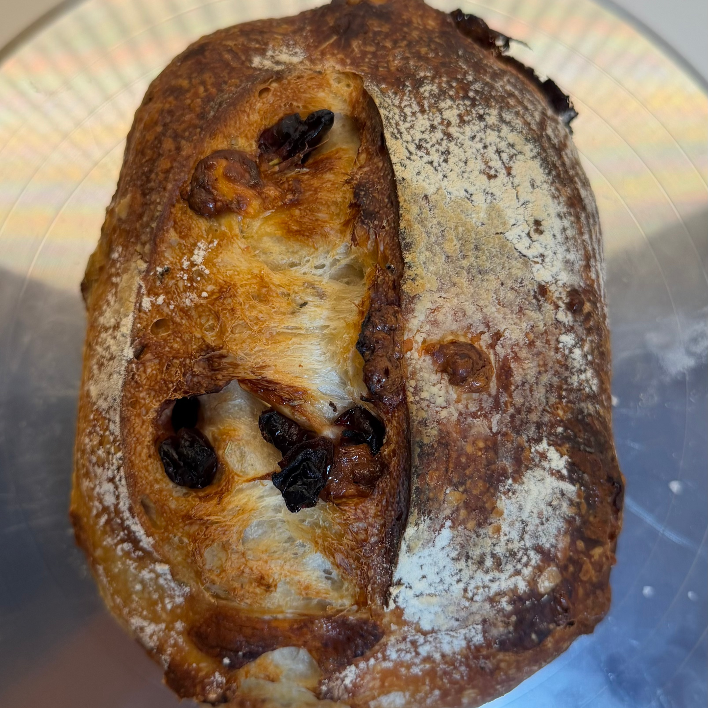 Bread Mozzarella Rosemary Sourdough  🧀🌿