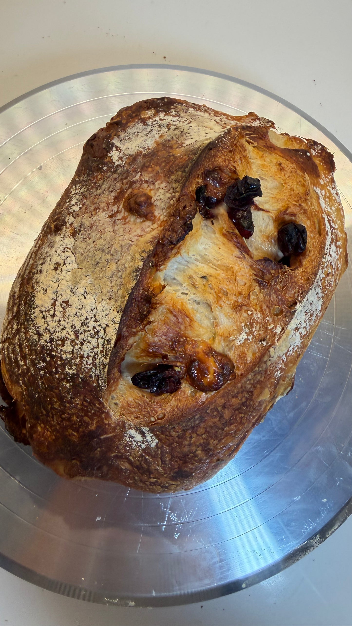 Bread Mozzarella Rosemary Sourdough  🧀🌿