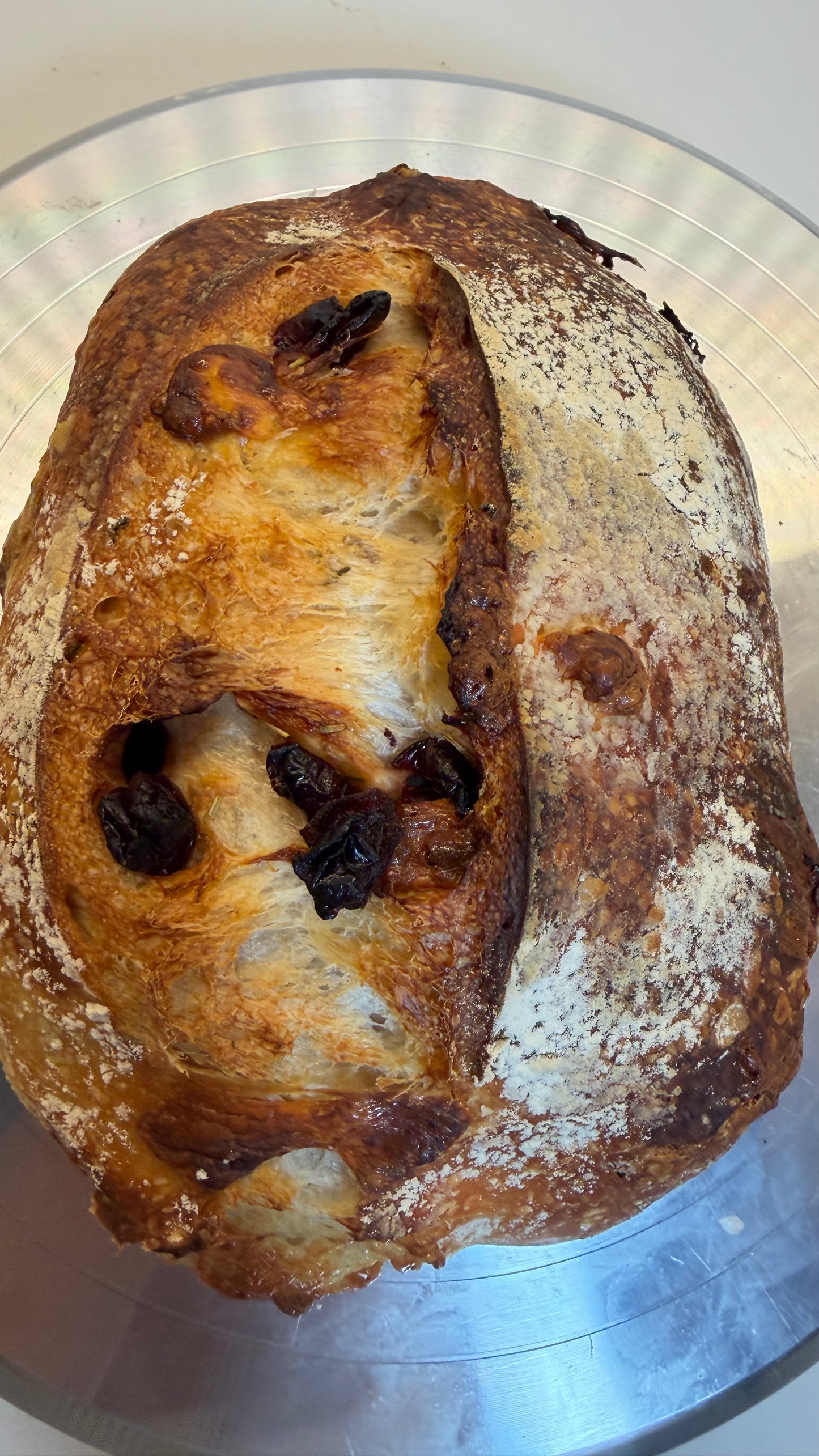 Bread Mozzarella Rosemary Sourdough  🧀🌿