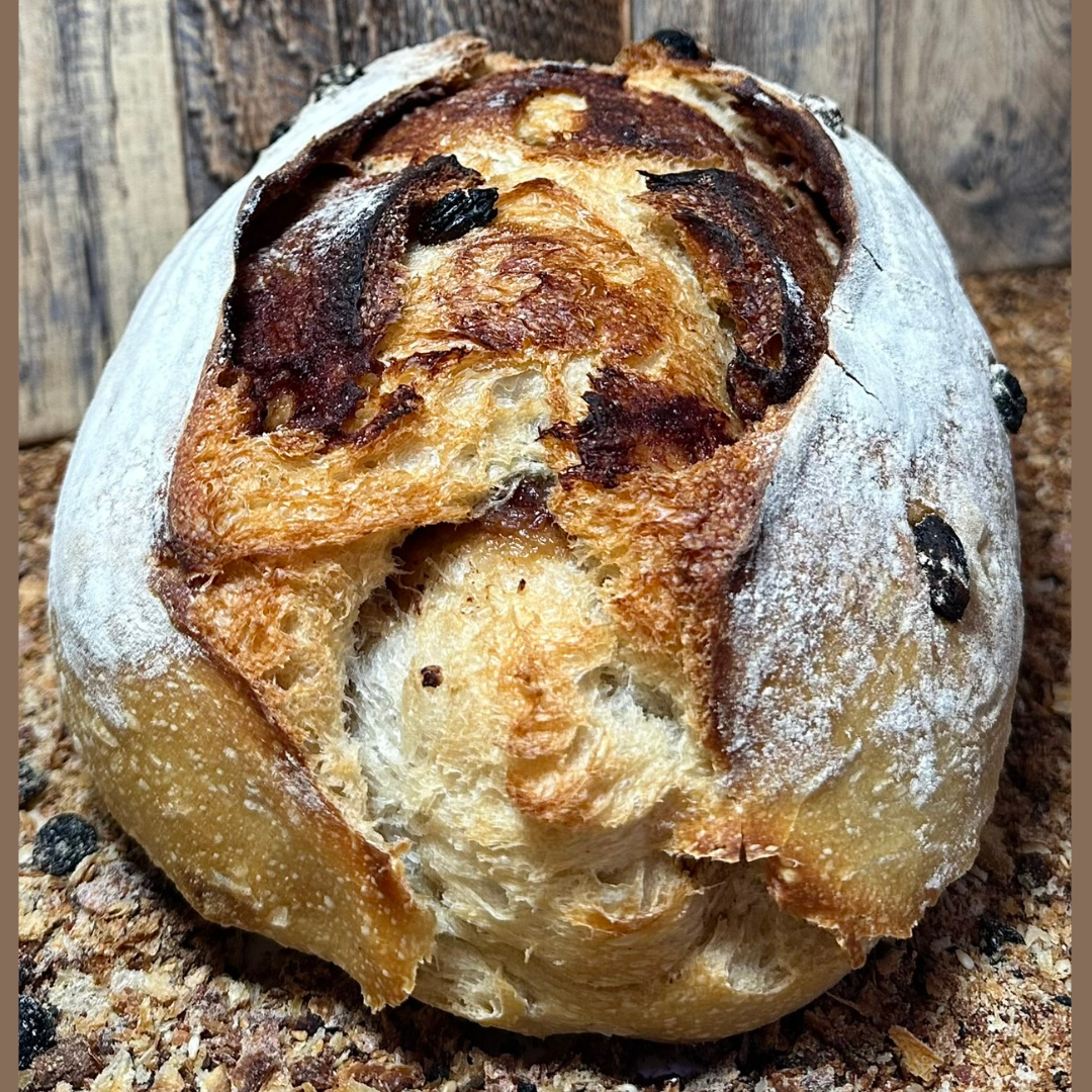 Organic Cinnamon Raisin Sourdough Bread – Chef SEBA Artisan Bakery, Des Plaines IL (Naturally Fermented, Rich & Soft) - Artisan Real Sourdough Bread Chef SebaArtisan Real Sourdough Bread Chef SebaArtisan Real Sourdough Bread Chef SebaSEBA-BRD-CINRAIS-ORG-REG-WHLCIN-RAISIN-01Whole LoafOrganic Cinnamon Raisin Sourdough Bread by Chef SEBA in Des Plaines IL, naturally fermented artisan loaf with cinnamon and raisins