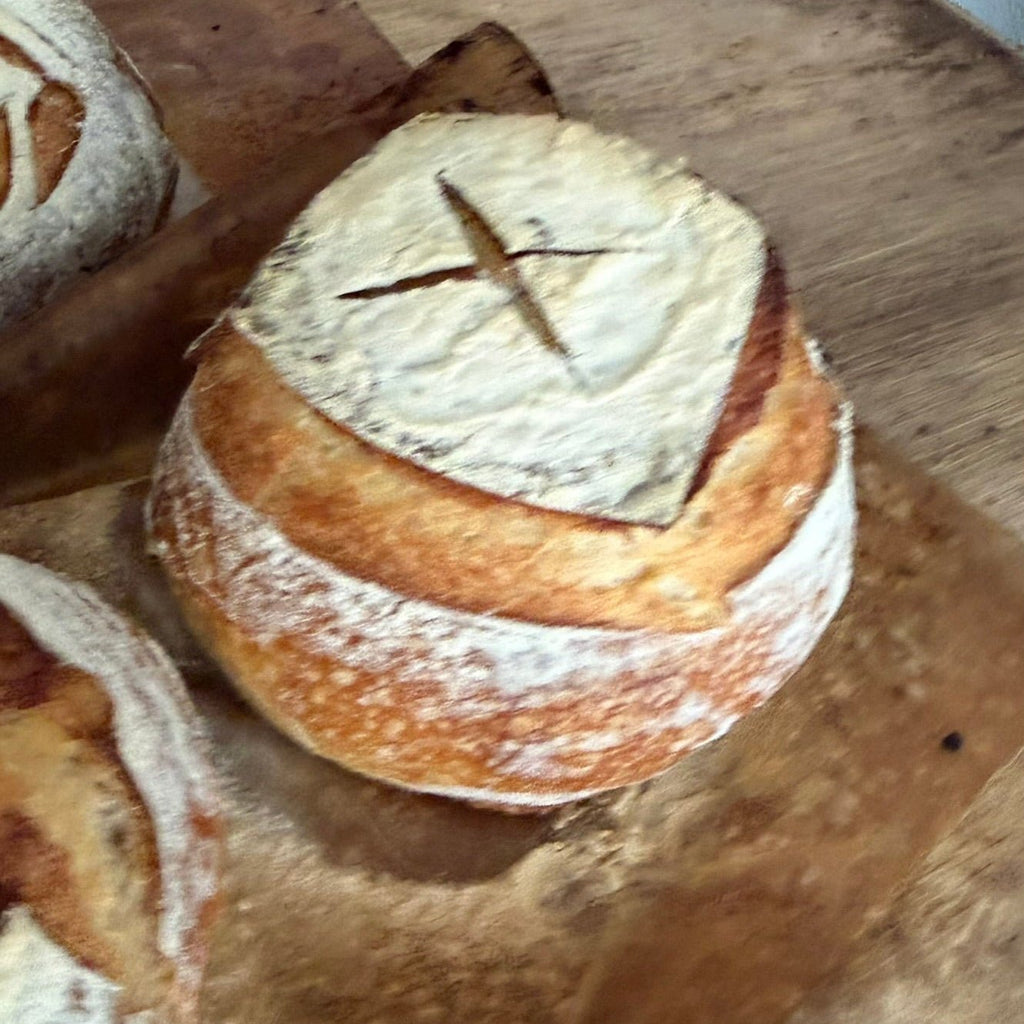 Organic Vegan Sourdough Soup Bowls - Artisan Real Sourdough Bread Chef SebaArtisan Real Sourdough Bread Chef SebaArtisan Real Sourdough Bread Chef SebaSEBA-SOUP-BOWL-ARTISANSEBA-SOUP-BOWL-ARTISANVegan sourdough soup bowls with crisp crust and artisan texture
