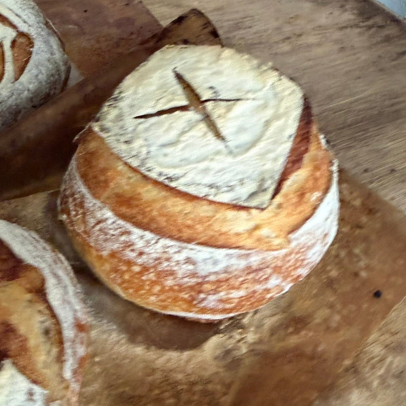 Organic Vegan Sourdough Soup Bowls - Artisan Real Sourdough Bread Chef SebaArtisan Real Sourdough Bread Chef SebaArtisan Real Sourdough Bread Chef SebaSEBA-SOUP-BOWL-ARTISANSEBA-SOUP-BOWL-ARTISANVegan sourdough soup bowls with crisp crust and artisan texture