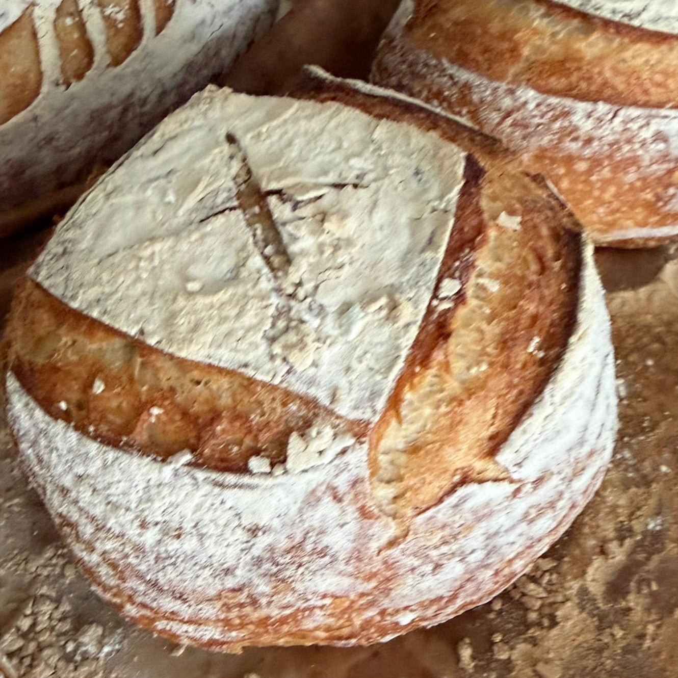 Organic Vegan Sourdough Soup Bowls - Artisan Real Sourdough Bread Chef SebaArtisan Real Sourdough Bread Chef SebaArtisan Real Sourdough Bread Chef SebaSEBA-SOUP-BOWL-ARTISANSEBA-SOUP-BOWL-ARTISANArtisan organic sourdough bread bowls baked by Chef SEBA