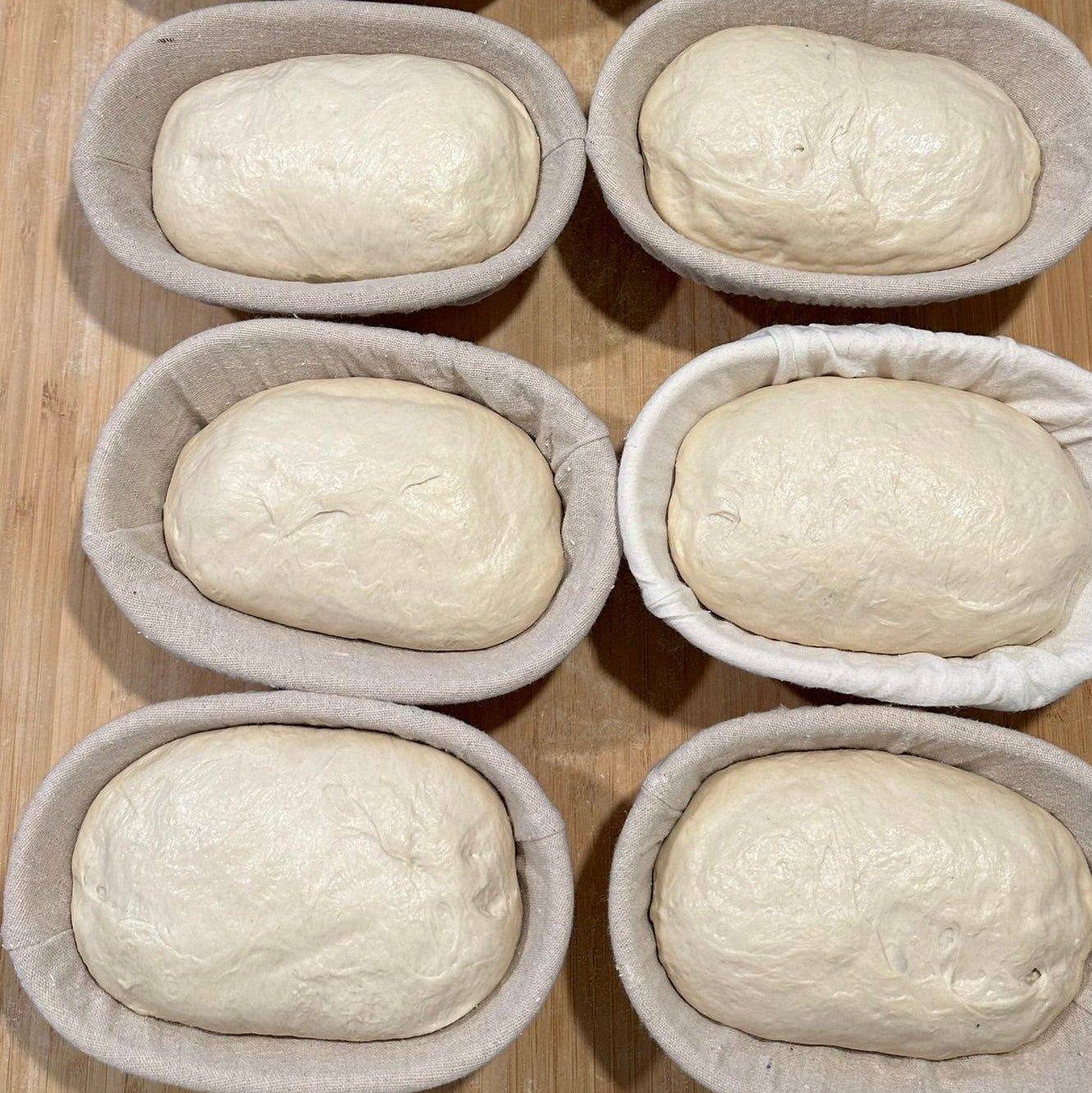 Original Sourdough Bread – Chef SEBA Real Artisan Loaf (Organic, Vegan, Naturally Fermented) - Artisan Real Sourdough Bread Chef SebaArtisan Real Sourdough Bread Chef SebaArtisan Real Sourdough Bread Chef SebaSEBA-SD-ORG-LOAFORIG-SOUR-01Whole LoafArtisan sourdough bread dough proofing in banneton baskets prepared by Chef Seba. ,Multiple artisan sourdough bread dough loaves proofing in banneton baskets during fermentation before baking by Chef Seba.