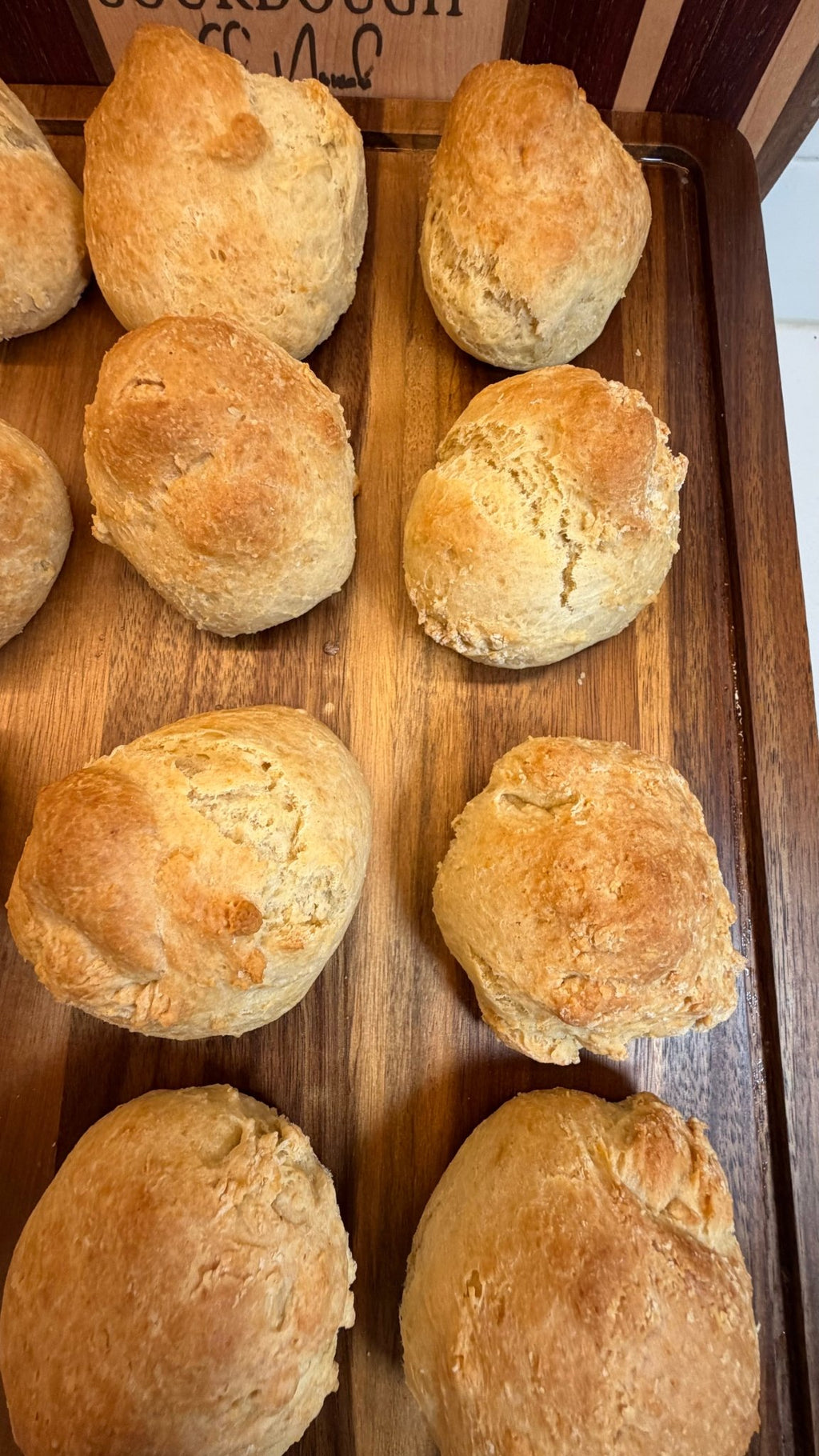 SEBAlicious™ Artisan Sourdough Biscuits - Artisan Real Sourdough Bread Chef SebaArtisan Real Sourdough Bread Chef SebaArtisan Real Sourdough Bread Chef SebaSEBA-BISC-FB-04-ORG-16 packSEBAlicious™ Artisan Sourdough Biscuits